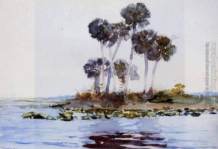 Winslow Homer : St. John's River, Florida II